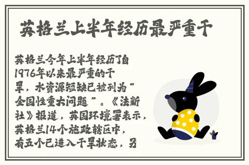 久久精品国产久金国产思思